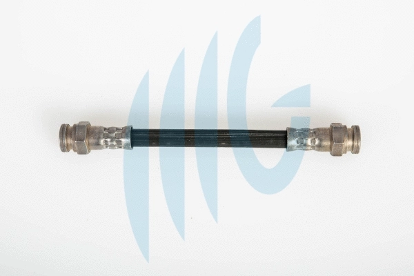 Brake Hose (02020090)