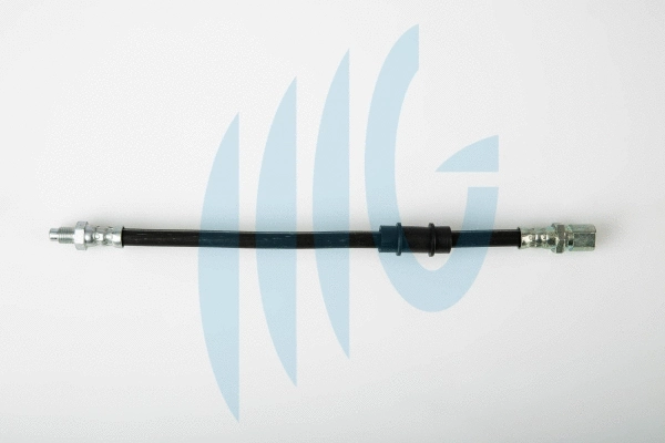 Brake Hose (02120134)