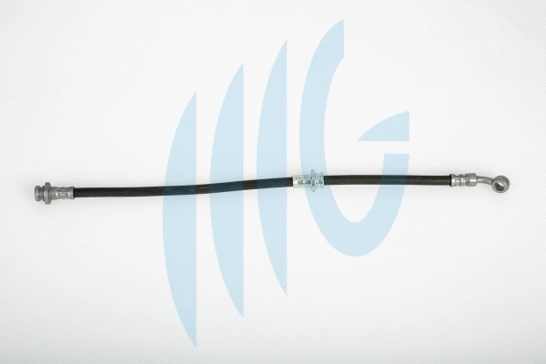 Brake Hose (02100779)