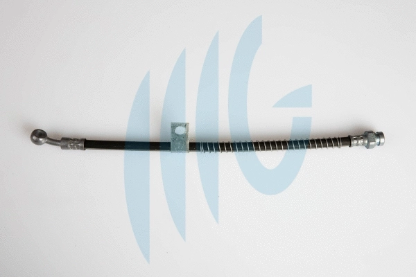 Brake Hose (02160848)