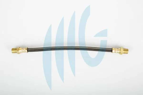 Brake Hose (02060250)