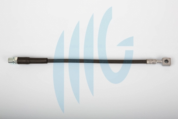 Brake Hose (02360458)