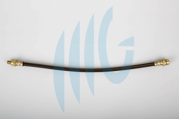 Brake Hose (02440552)