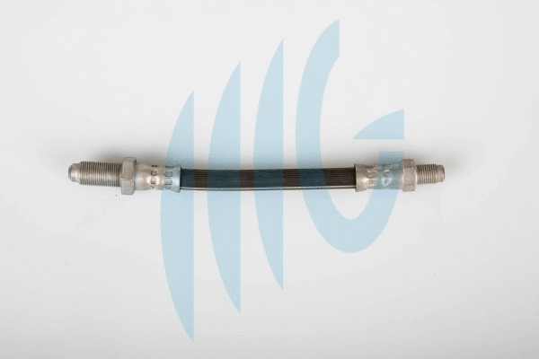 Brake Hose (02520956)