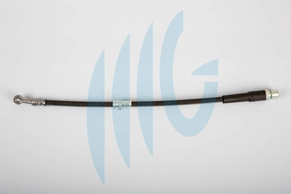 Brake Hose (02070033)