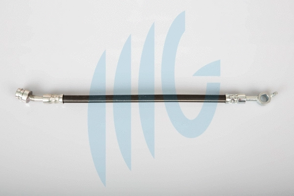 Brake Hose (02160953)