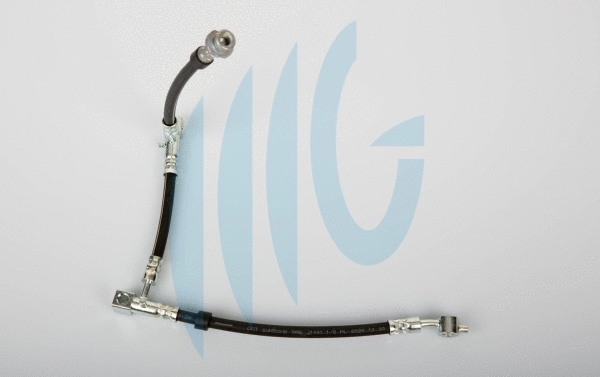 Brake Hose (02101154)