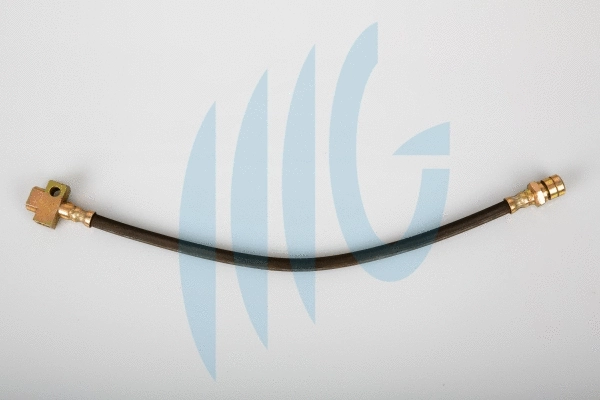 Brake Hose (02360469)