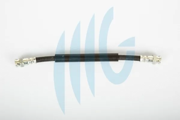 Brake Hose (02060252)