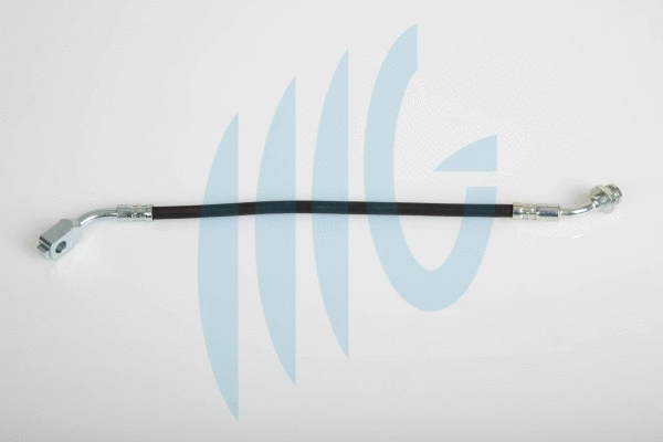 Brake Hose (02100791)