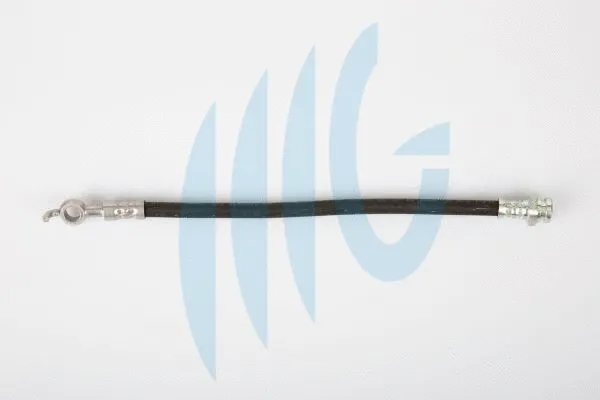 Brake Hose (02300878)