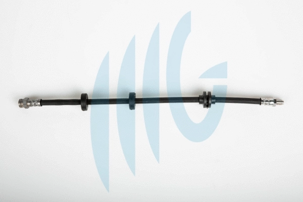 Brake Hose (02120181)