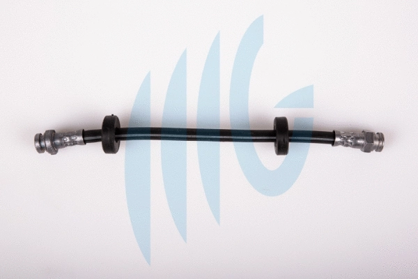 Brake Hose (02120179)