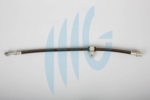 Brake Hose (02280389)