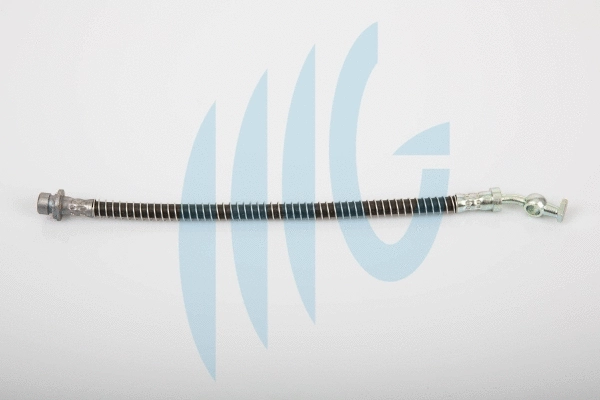 Brake Hose (02280436)