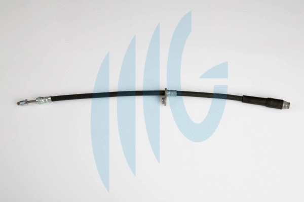 Brake Hose (02380539)