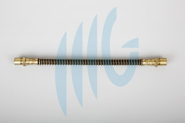 Brake Hose (02280681)
