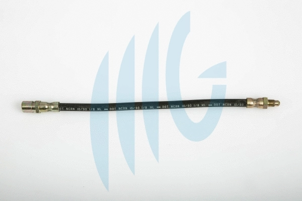 Brake Hose (02120163)