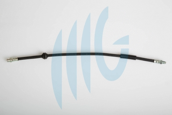 Brake Hose (02080473)