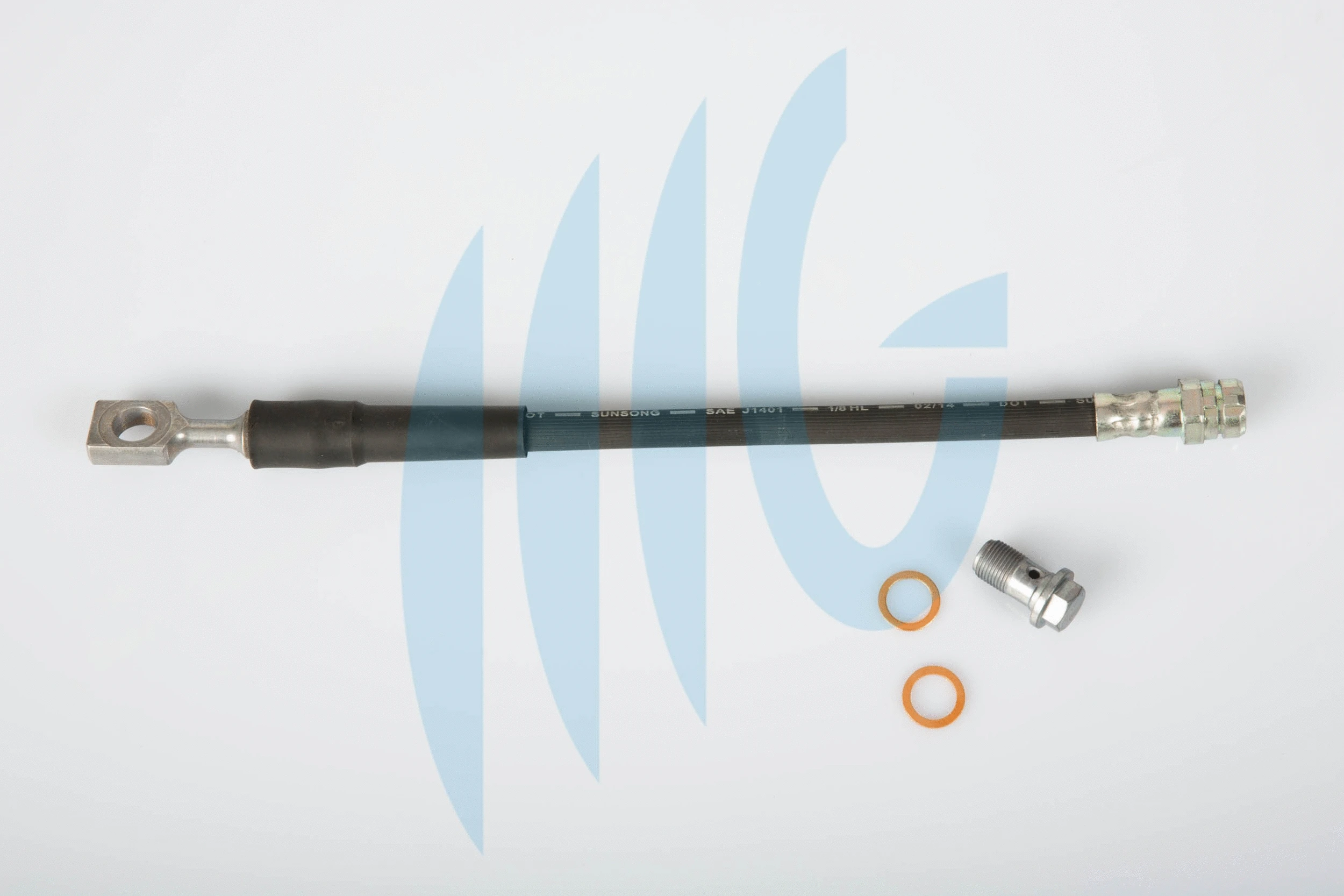 Brake Hose (02500624)