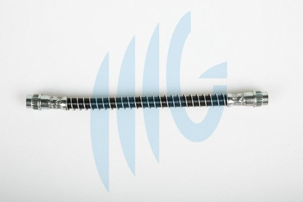 Brake Hose (02060268)