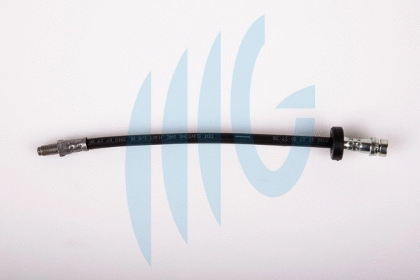 Brake Hose (02140383)