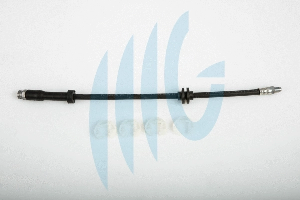 Brake Hose (02120241)