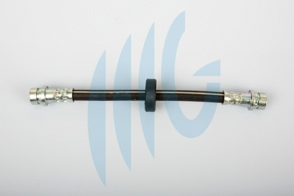 Brake Hose (02140366)