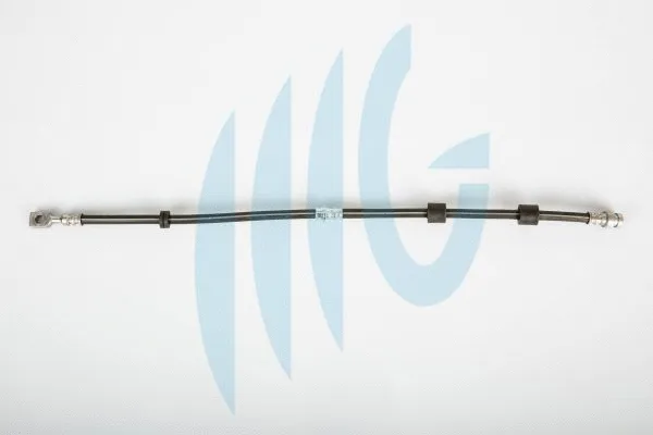 Brake Hose (02060335)