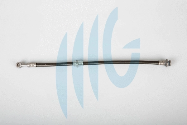 Brake Hose (02520964)