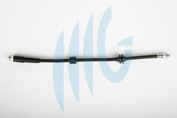 Brake Hose (02120235)