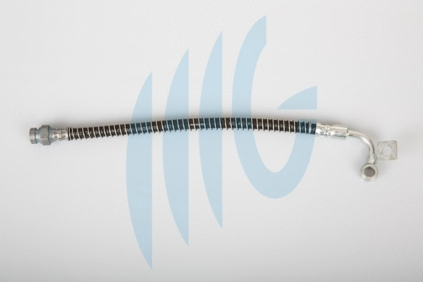 Brake Hose (02160926)