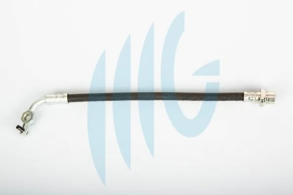 Brake Hose (02561095)