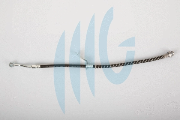 Brake Hose (02160975)