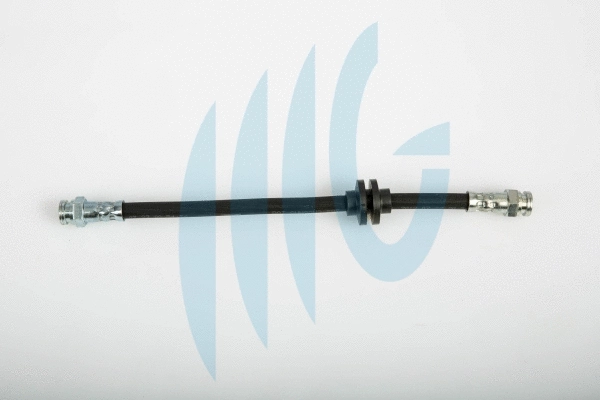 Brake Hose (02120273)