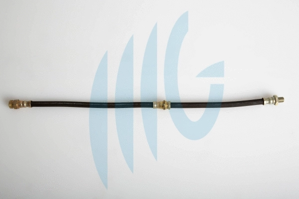Brake Hose (02300859)
