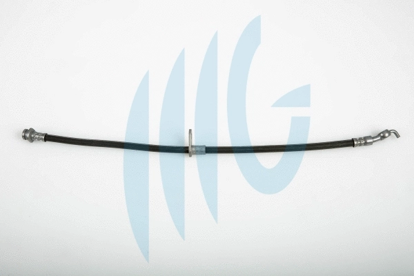 Brake Hose (02120189)