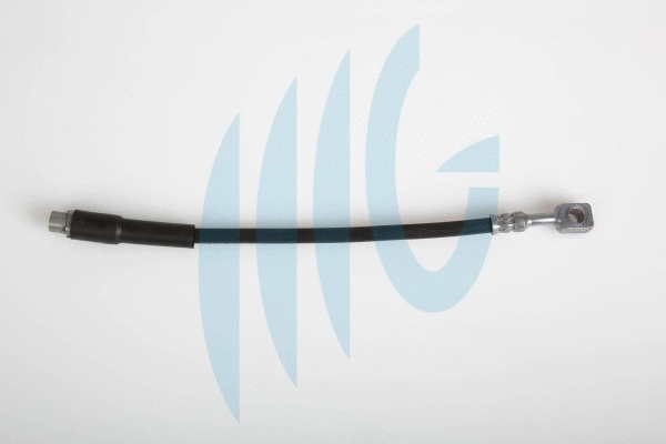 Brake Hose (02360501)