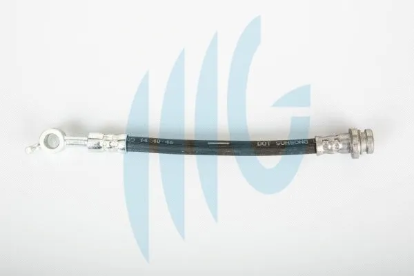 Brake Hose (02101146)