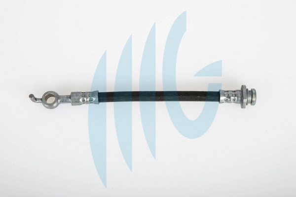Brake Hose (02360500)