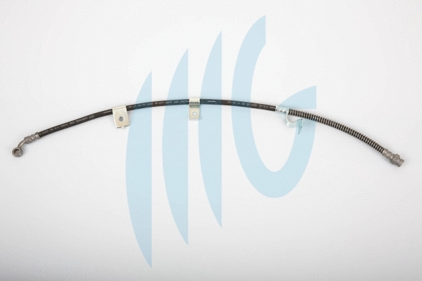 Brake Hose (02160896)