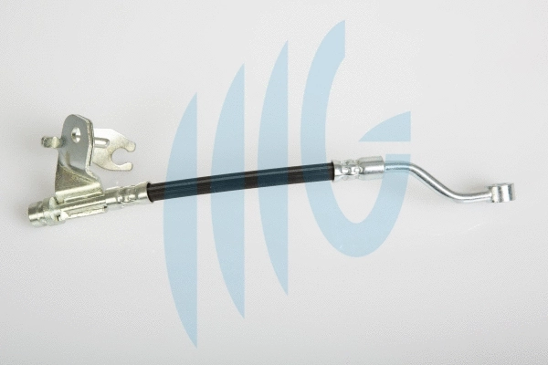 Brake Hose (02160934)