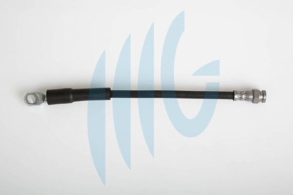 Brake Hose (02120154)