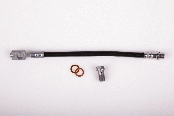 Brake Hose (02020159)