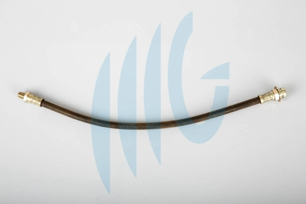 Brake Hose (02560986)