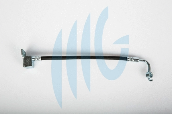 Brake Hose (02300882)