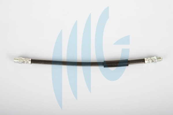 Brake Hose (02040280)