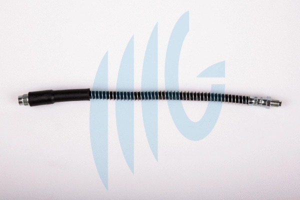 Brake Hose (02380529)