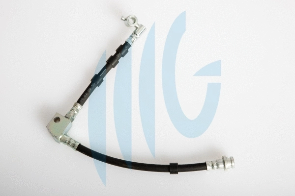 Brake Hose (02100785)