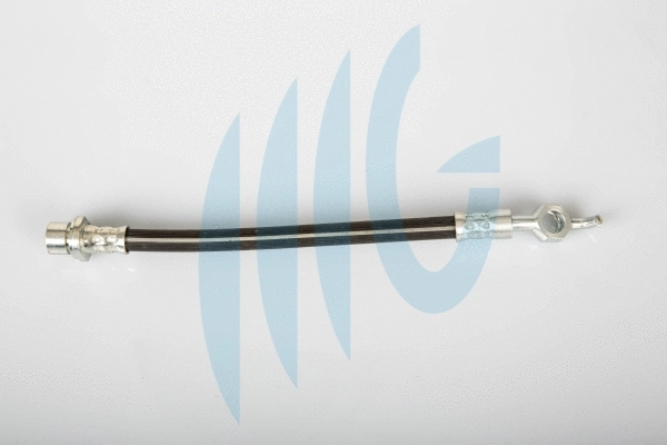 Brake Hose (02561106)